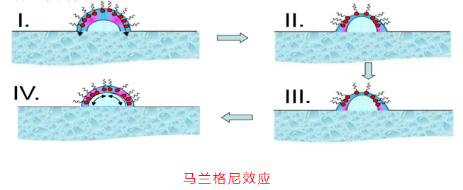 微信圖片_20210715102244.png