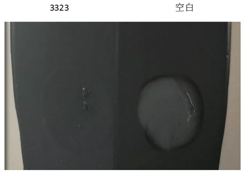 微信圖片_20210926142351.png
